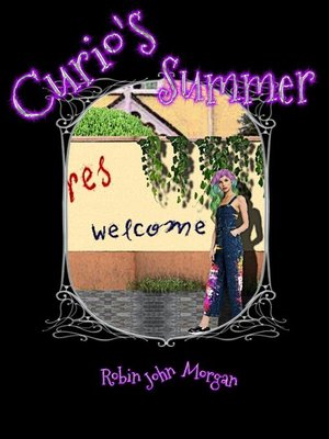 cover image of Curio's Summer